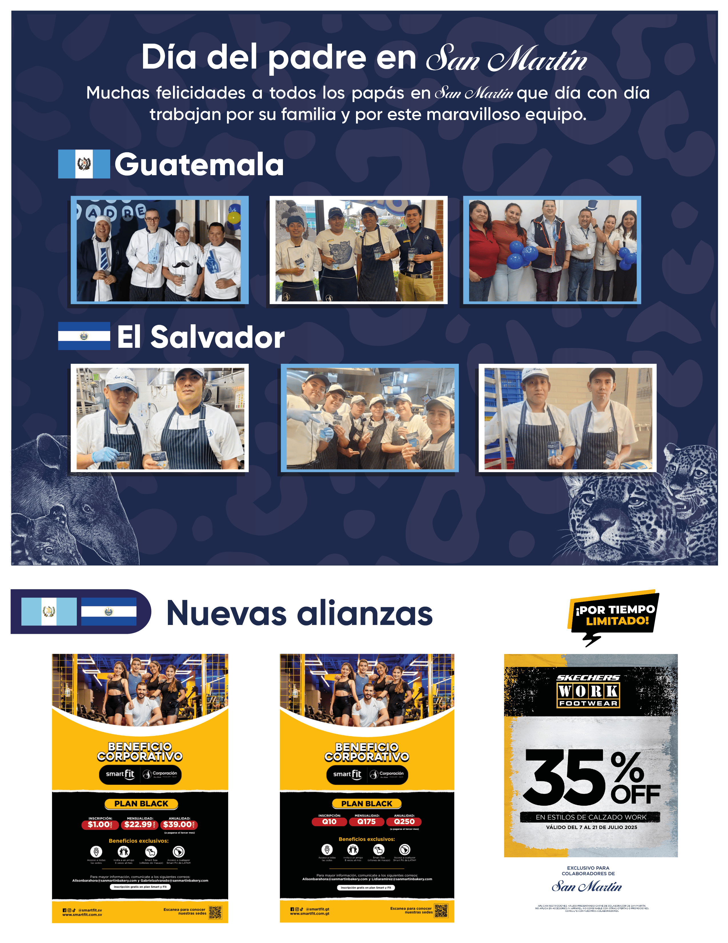 boletin3